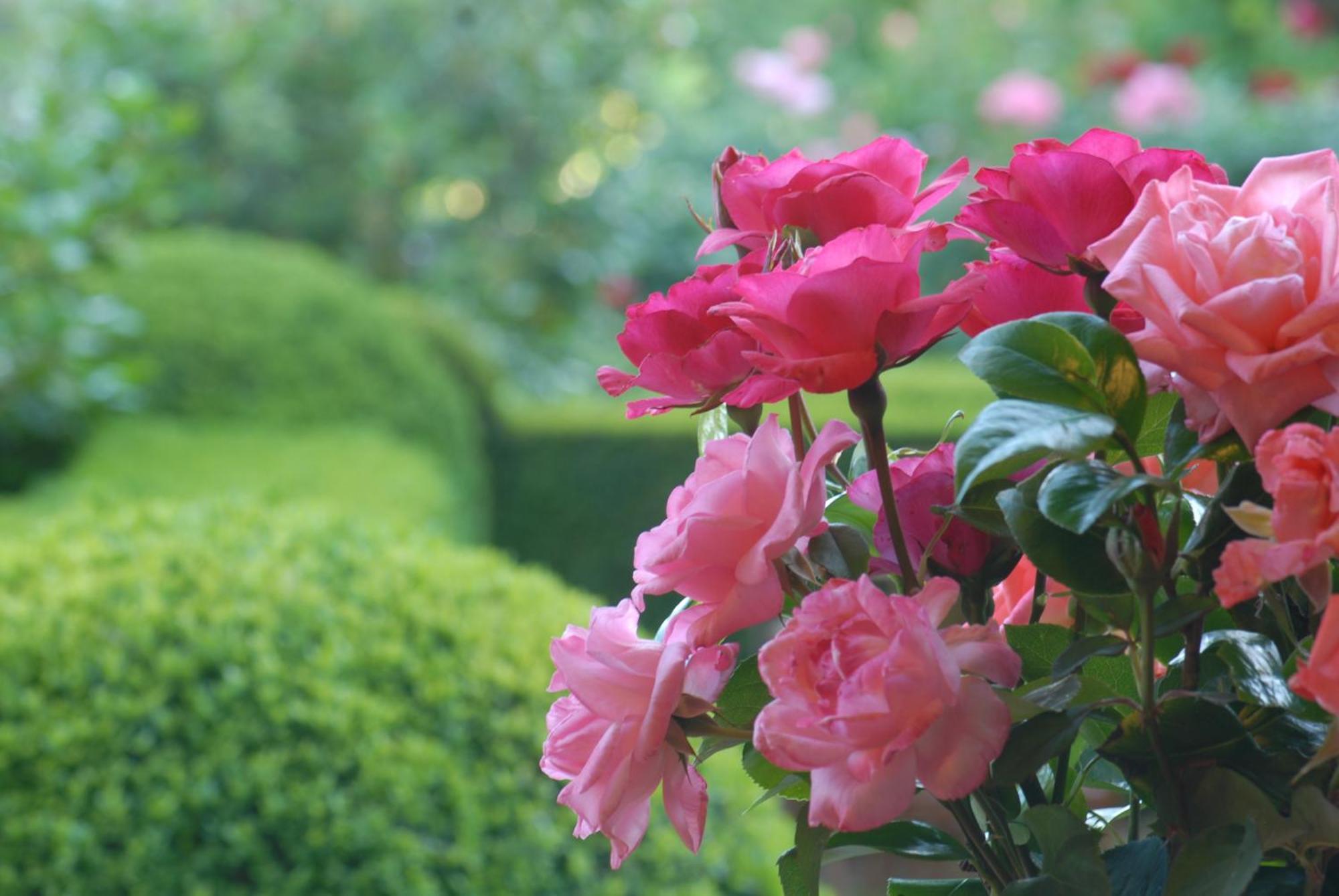 El Jardin Del Convento, Casa Rural แอร์วาส ภายนอก รูปภาพ