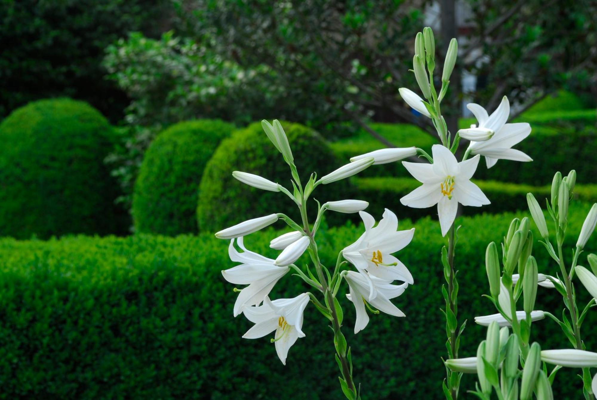 El Jardin Del Convento, Casa Rural แอร์วาส ภายนอก รูปภาพ
